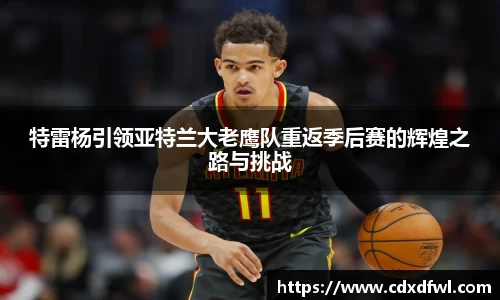 特雷杨引领亚特兰大老鹰队重返季后赛的辉煌之路与挑战