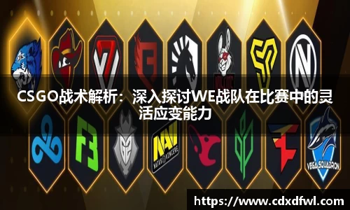 CSGO战术解析：深入探讨WE战队在比赛中的灵活应变能力